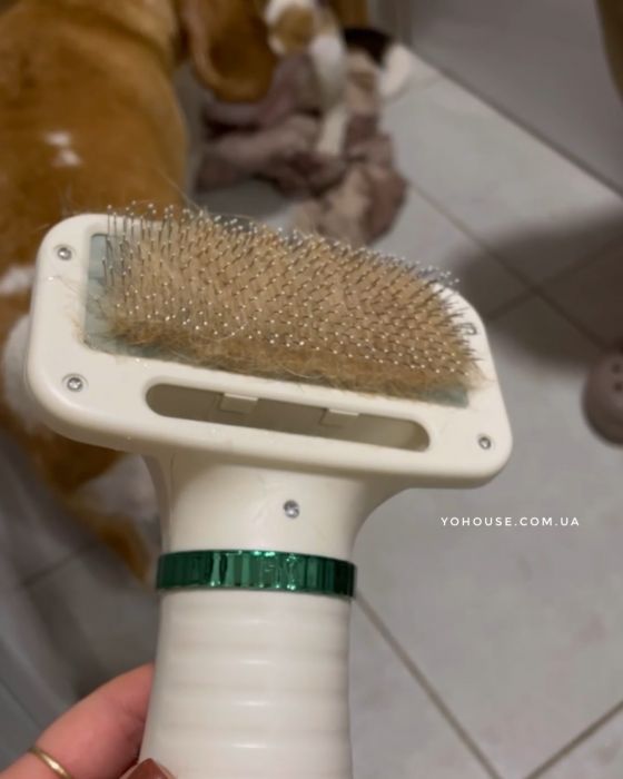 Фен для собак